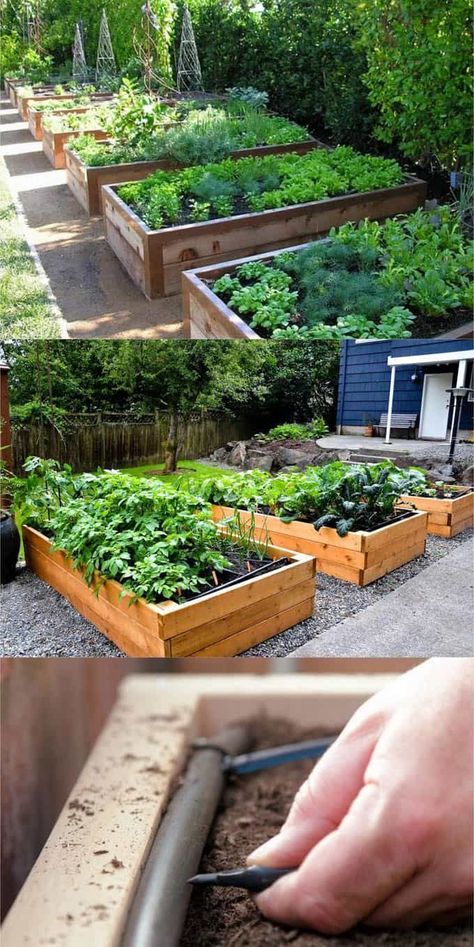 Plantarea Legumelor, Raised Bed Gardens, Rustic Landscaping, Raised Garden Bed Plans, Raised Vegetable Gardens, Diy Garden Bed, Building Raised Garden Beds, Vegetable Garden Raised Beds, Small Vegetable Gardens