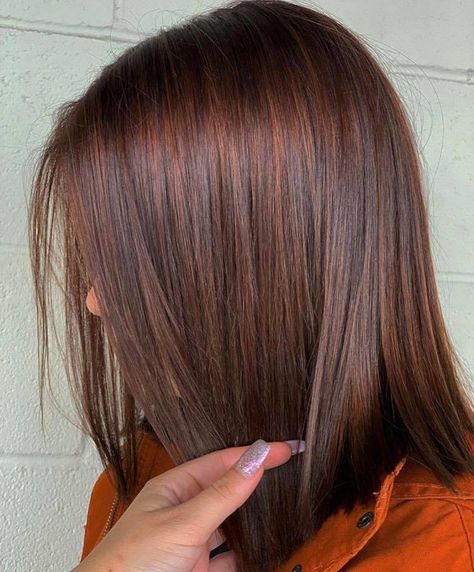 Warm Up Your Look This Fall With The Cinnamon Brown Hair Trend Medium Brown Reddish Hair, Reddish Brown Hair Straight, Auburn Dye On Brown Hair, Hair Color Cinnamon Brown, Spiced Cinnamon Hair Color, Crimson Brown Hair, Medium Maple Brown Hair Color, Russet Hair Color Brown, Medium Brown With Red Tones