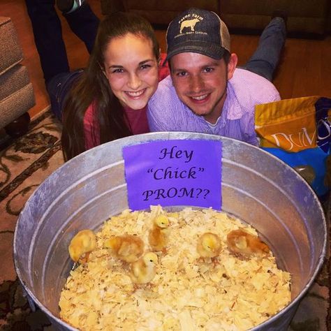 Unique Farm/Country Promposal 2016 PromGirl Promposal Contest WINNER Chicken Promposal, Country Promposal, Funny Promposals, Sadie Hawkins Proposals, Country Prom, Prom Pictures Group, Prom Proposals, Cute Homecoming Proposals, Cute Prom Proposals