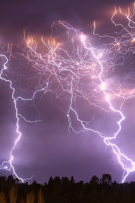 #forest#storm#lightning Fourth Wing Violet, Pictures Of Lightning, Lightning Photos, Lightning Photography, Thunder And Lightning, Lightning Storm, Lightning Strikes, Natural Phenomena, Think Of Me