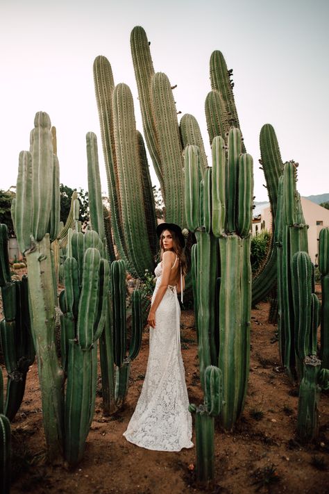 Cactus Photoshoot, Southwestern Wedding, German Wedding, Cactus Wedding, Wedding Cape, Christian Wedding, Desert Wedding, Arizona Wedding, Boho Bridal