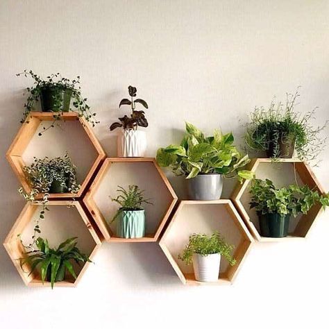 Hiasan Dinding Diy, Projek Kayu, Honeycomb Shelves, Shelves Floating, Geometric Shelves, نباتات منزلية, Hexagon Shelves, Diy Wand, Hiasan Bilik