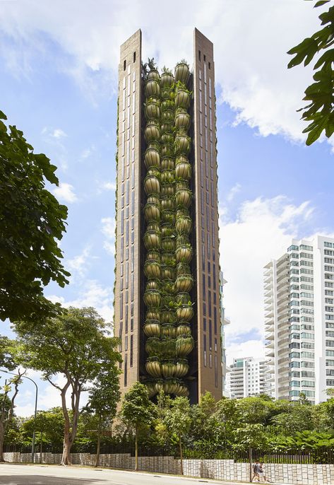 Gallery of EDEN Singapore Apartments / Heatherwick Studio - 10 Heatherwick Studio, Biophilic Architecture, Singapore Map, Thomas Heatherwick, High Rise Apartments, Green Architecture, London Design, Green Building, Residential Building