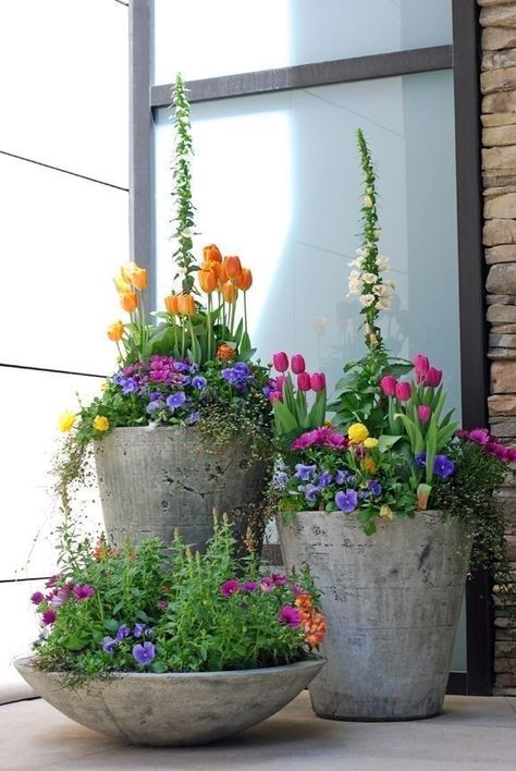 Urban Garden Design, Patio Flowers, Small Front Yard Landscaping, Small Front Yard, Garden Wallpaper, Cement Planters, Have Inspiration, Garden Containers, Beautiful Flowers Garden