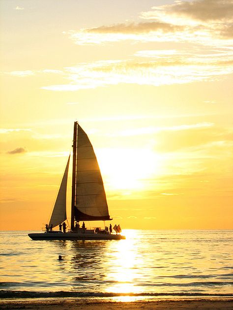 sailboat http://alcoholicshare.org/ Sailboat Sunset, Yacht Sailing, Calm Waters, Sunset Ocean, Sea Photography, Yellow Sun, Sailing Boat, Canoes, Sail Boat