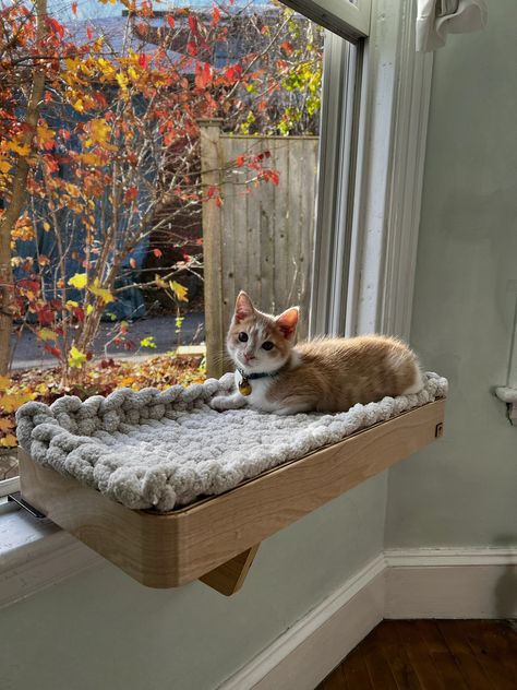 CAT WINDOW PERCH / CAT WINDOW SHELF / CAT PERCH / CAT WINDOW BED / THE NAMU / www.jhnamu.com Katt Diy, Cat Room Decor, Cat Window Bed, Katt Grejer, Pfp Cat, Cat Area, Cat Standing, Pfp Black, Window Shelf