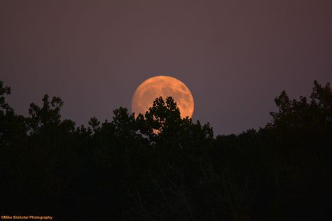 Moon Aesthetic Horizontal, Moon Wallpaper For Macbook, Moon Horizontal Wallpaper, Moon Aesthetic Wallpaper For Laptop, Moon Landscape Wallpaper Desktop, Sun And Moon Desktop Wallpaper, Moon Wallpaper Desktop Hd, Moon Background Laptop, Moon Keyboard Wallpaper