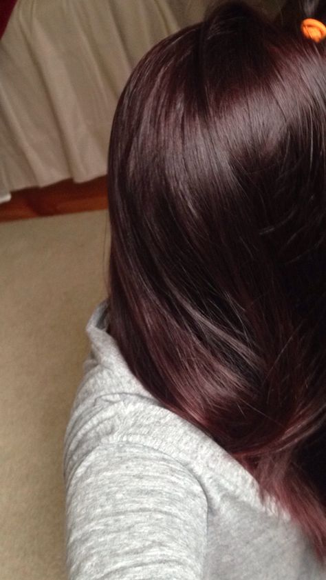 Dyed my hair dark plum brown <3 Dark Plum Brown Hair, Plum Brown Hair, Pelo Color Vino, Brown Hair Shades, Nails Dark, Plum Hair, Brown Hair Dye, Coloured Hair, Brown Hair With Blonde Highlights