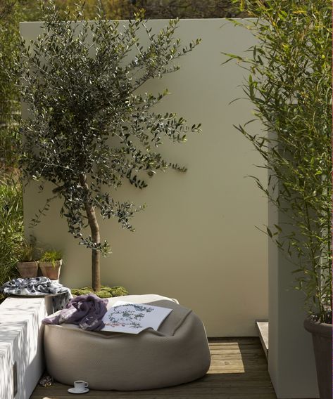 Tall Garden Wall Ideas, Garden Walls Painted, Garden Painted Wall, Painted Courtyard Wall, Outdoor Wall Colour Paint Colors, Garden Wall Planting Ideas, Dark Garden Walls, Garden Wall Colour Ideas, Outdoor Patio Paint Ideas