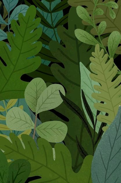 Jungle Plants Drawing, Jungle Forest, 동화 삽화, Jungle Illustration, Patterned Background, Plant Background, Free Illustration Images, Leaves Illustration, Leaf Illustration