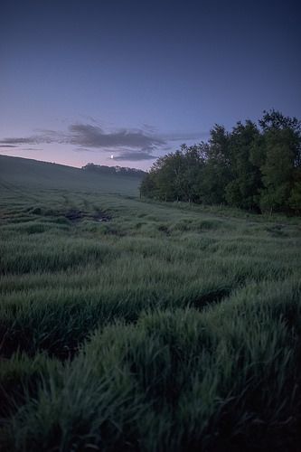 Moonlit hill | by GDDigitalArt (George Davis) Dark Naturalism, Photographie Inspo, Nature Aesthetic, Pretty Places, Green Aesthetic, Dark Aesthetic, Adventure Time, Night Time, Pretty Pictures