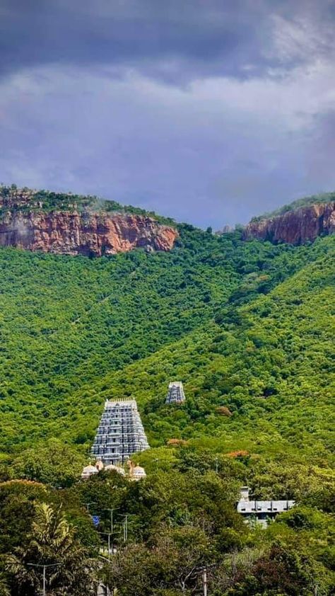 Tirupathi Temple Images, Tirupati Photos, Thirumala Thirupathi Temple, Tirupati Aesthetic, Tirumala Hills, Venkateswara Swamy Images Hd 1080 Wallpaper, Venkateswara Temple, Temple India, Ms Dhoni Wallpapers