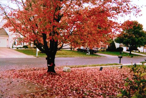 Childhood Memories Halloween, Fall Nostalgia 2000s, Nostalgia Halloween Aesthetic, 2000 Halloween Nostalgia, Alex G Autumn, Childhood Halloween Aesthetic, 2000s Fall Nostalgia, Halloween Nostalgia 2000s, Nostalgic Halloween Aesthetic