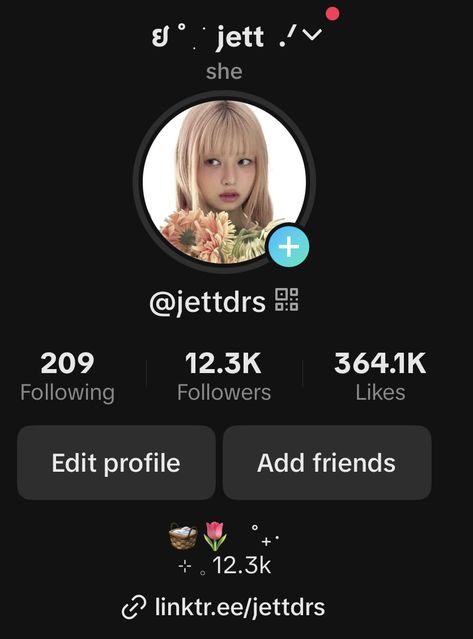 Tik Tok Bios Ideas, Tik Tok Bio Ideas Aesthetic, Tiktok Profile Template, Tiktok Aesthetic Profile, Netflix Profile Names Ideas, Wattpad Profile Ideas, Tik Tok Account Ideas, Aesthetic Tiktok Profile, Ig Profile Aesthetic