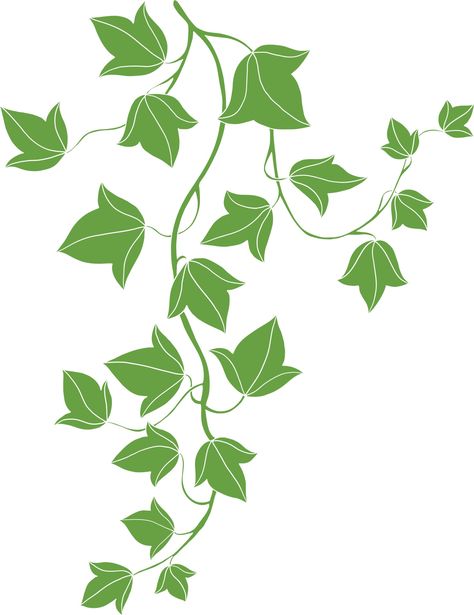 simplicity ivy freehand drawing flat design Vines Plants Drawing, Vine Drawing Simple, Vines Drawing, Ivy Draw, Vine Illustration, Aboriginal Art Dot Painting, Vine Drawing, Freehand Drawing, Ivy Leaves