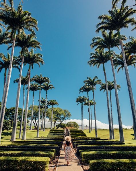 Here are the 33 most Instagrammable places on the Big Island, from green sand beaches to stunning waterfalls, and everything in between! From beaches to overlooks, there are so many great photography spots on the Big Island of Hawaii. In fact, it’s no secret that Hawaii as a state is a photographer’s dream. From stunning volcanoes to dramatic waterfalls and forests, this list also covers the best things to do on the Big Island of Hawaii! Add them to your Big Island itinerary! Big Island Hawaii Things To Do, Big Island Photography, Big Island Hawaii Aesthetic, Kona Big Island, Big Island Hawaii Wedding, Big Island Waterfalls, Waimea Big Island, Hawaii Big Island Photography, Beaches In Hawaii