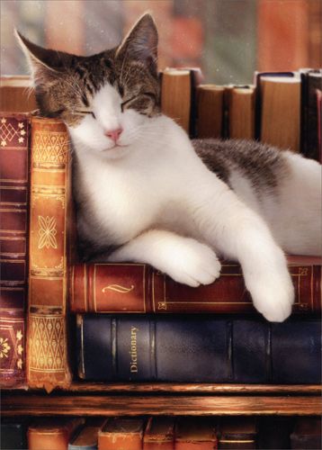 Cozy Mystery Book, Mama Cat, Graduation Card, Cat Books, Super Cute Animals, Cat Posters, Graduation Cards, Stack Of Books, Pretty Cats