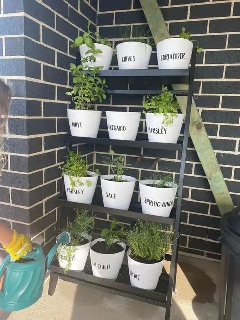 Apartment Vertical Garden, Indoor Spice Garden Wall, Small Patio Organization Ideas, Outdoor Herb Shelf, Gardening Set Up, Garden On Apartment Balcony, Garden On Patio Apartment, Mini Patio Garden, Herb Garden Apartment Balconies