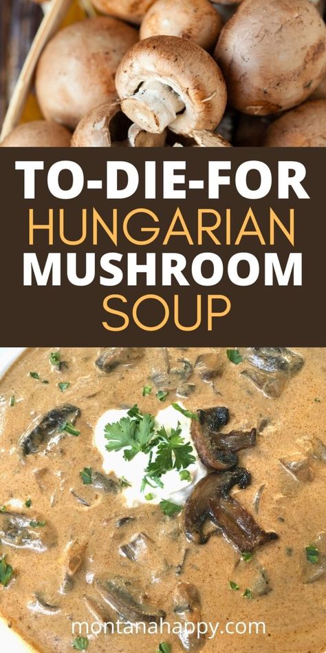 Soups Creamy, Hungarian Mushroom, Hungarian Mushroom Soup, Mushroom Soup Recipe, Creamy Mushroom Soup, Rustic Recipes, Mushroom Soup Recipes, Homemade Soup Recipe, Hungarian Recipes