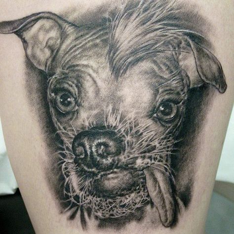 Tattoo Artist - Shane O Neill | Tattoo No. 9893 Fat Tattoo, Realism Animal Tattoo, Dog Tags Tattoo, Ugly Dog, Horse Tattoo Design, Elephant Tattoo Design, Ugly Dogs, Most Beautiful Dogs, Epic Tattoo