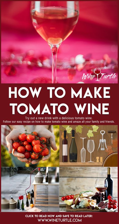 Wine Making For Beginners, Tomato Wine Recipe, Mead Wine Recipes, Wine Making Recipes, Homemade Wine Recipes, Mead Wine, Mead Recipe, Peach Wine, Homemade Alcohol