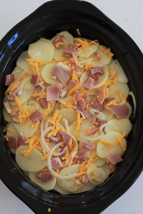 How to Make a Quick Crock Pot Meal of Cheesy Potato Ham Casserole | eHow Potato Ham Casserole, Crock Pot Food, Crockpot Ham, Ham Casserole, Pot Recipes Healthy, Cheesy Potato, Pot Recipes Easy, Crockpot Dishes, Crock Pot Slow Cooker