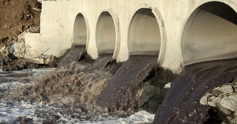 Busted! Colorado Dairy Farm Caught Dumping Manure Into Nearby River  https://www.mercyforanimals.org/busted-colorado-dairy-farm-caught-dumping River Pollution, Pencemaran Air, Pencemaran Udara, Municipal Waste, Mercy For Animals, India Live, Contaminated Food, Catchment Area, Water And Sanitation