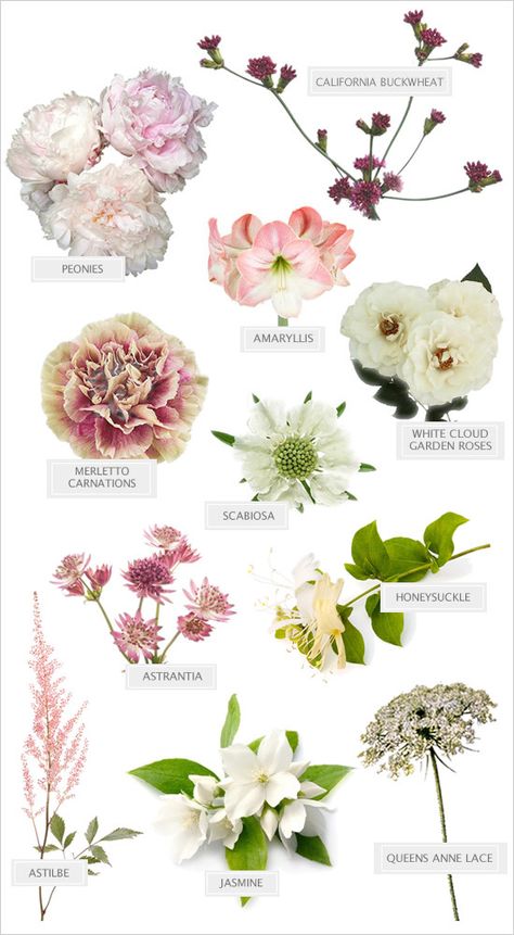 Wild Wedding Bouquet @weddingchicks Flowers And Their Names, Wild Wedding Bouquet, Wild Wedding, Flower Chart, Flower Identification, Different Types Of Flowers, Flower Guide, Fleur Design, Flower Meanings