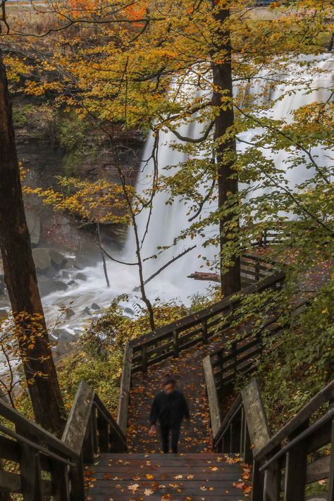 Brandywine Falls, National Parks America, Best National Parks, Cuyahoga Valley National Park, Scenic Railroads, Mount Rainier National Park, Shenandoah National Park, Rainier National Park, National Parks Usa