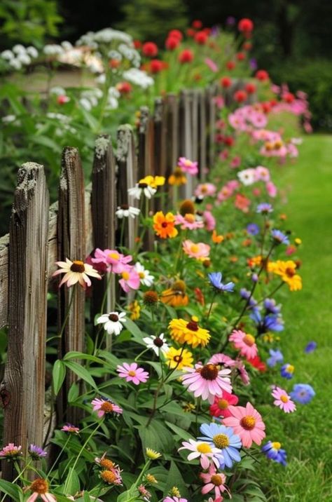 Home / X Flower Pathway, Flower Garden Inspiration, Flower Garden Aesthetic, Small Flower Garden, Cerca Natural, Flower Yard, Small Flower Gardens, Garden Fence Ideas, Fence Designs