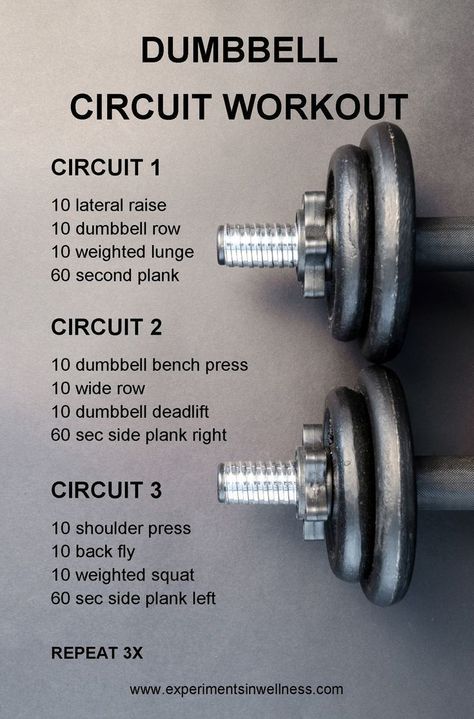 Dumbbell Circuit Workout, Dumbbell Workout Routine, Full Body Dumbbell Workout, Dumbell Workout, Interval Workout, Workout Stuff, Yoga Video, Daily Workouts, Tabata Workouts