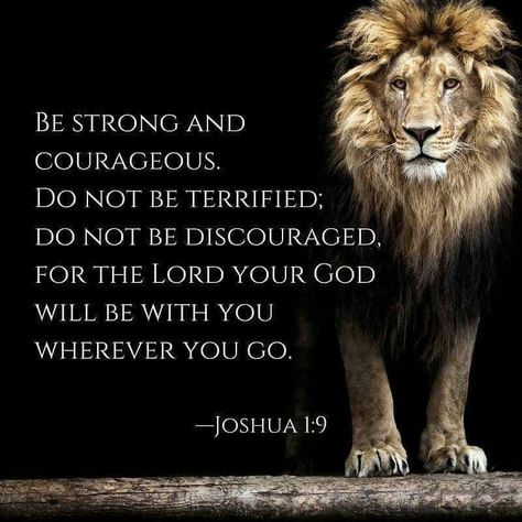 Be strong and courageous... Joshua 1:9 Ayat Alkitab, Be Strong And Courageous, Warrior Quotes, Lion Of Judah, God Prayer, Favorite Bible Verses, A Lion, Be Strong, Scripture Quotes