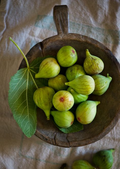 Fruit Photos, Buah Tin, Sage Recipes, Roasted Figs, Green Peace, Nature Gifts, Green Fig, Fig Recipes, Fresh Figs