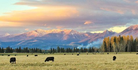 Ranch Background, Pr Wallpaper, Ranch Wallpaper, Montana Scenery, Montana Fall, Montana Living, Dream Ranch, Montana Landscape, Ranch Cabin