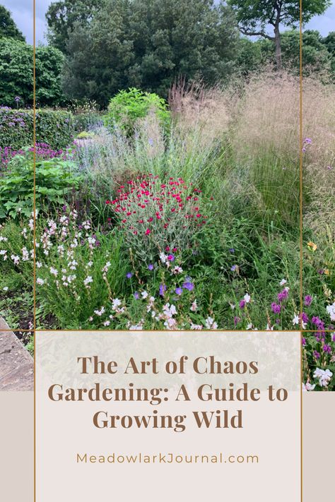 art of chaos gardening guide to growing wild gardens Backyard Meadow Garden, Chaos Vegetable Gardening, Natural Wild Garden, Chaos Flower Garden, Wildflower Seeds Planting, Chaos Gardening Flowers, Chaotic Gardening, Wild Garden Landscaping, Meadow Landscaping