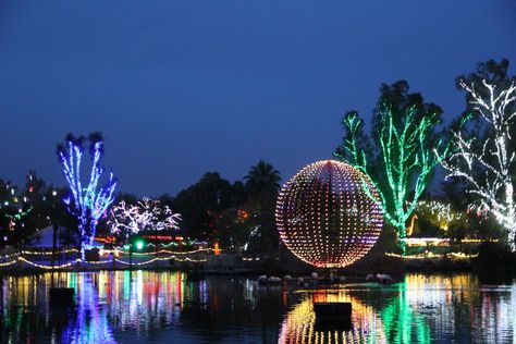 ZooLights at Phoenix Zoo Phoenix Christmas, Christmas Things To Do, Rv Parks And Campgrounds, Rv Resort, Rv Park, Arizona Travel, Reward Yourself, Sedona Arizona, Mesa Az