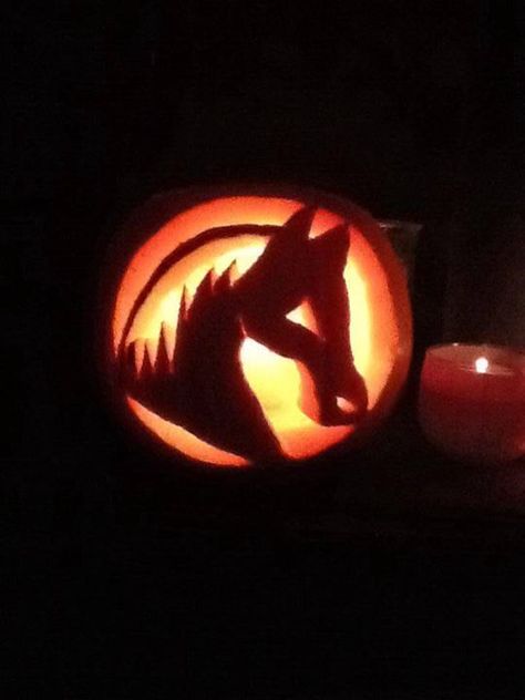 #pumpkin #carving #equestrian #horses #equestrianclearance  See more here: www.facebook.com/equestrianclearance.com Horse Carving Pumpkin, Ways To Carve A Pumpkin, Horse Pumpkin Carving, Pumpkin Carve Ideas, Country Pumpkin Carving, Horse Pumpkin, Pumpkin Carving Ideas Easy, Pumpkin Carve, Carve A Pumpkin