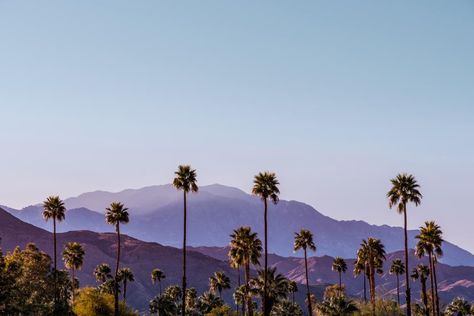 A Weekend Guide To Palm Springs: Where To Eat, And Where To Stay Landscape Restaurant, Palm Springs Restaurants, Palm Springs Bachelorette Party, Palm Springs Hotels, Palm Springs Bachelorette, Heart Of Palm, Road Trip Packing, Palm Spring, Palm Springs California