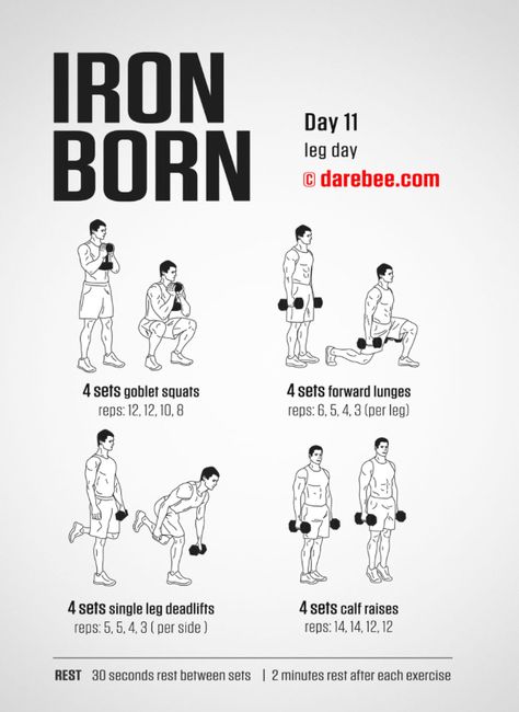 Darbee Workout Dumbell, Iron Born 30 Day Workout, Darbee Workout, Mens Full Body Workout, Leg Workouts For Men, Shred Workout, Fighter Workout, Boxing Training Workout, Workout Labs