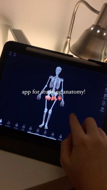 Emily • Medical Student on Instagram: "App for studying anatomy: Complete Anatomy!🧠🫀🫁This app does SO much - seriously I didn’t even cover the half of it in this video. There is a price for the app, but in my opinion it’s definitely worth it! I actually split the price with a friend because it can be downloaded on two different devices under the same account. However, keep in mind that if you have an anatomy practical portion of your exam, this should not be your only method of studying. It’s so important to actually go into the anatomy lab to look at these structures in the donor bodies because they sadly won’t look like the perfect diagrams🥲 BUT when you’re not in lab this app is great for some at-home anatomy studying. #medschool #medstudent #medicalschool #medicalstudent #premed #s Body Diagram Anatomy, Apps For Anatomy, Anatomy Apps, Anatomy Studying, How To Study Anatomy, Anatomy App, Studying Anatomy, Anatomy Lab, The Half Of It