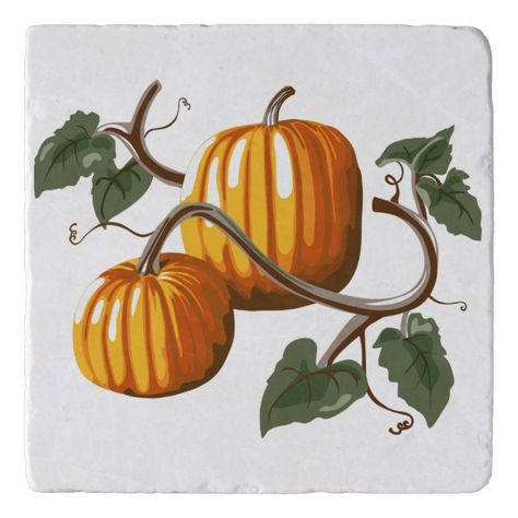 Pumpkin Vine, Halloween Art Projects, Autumn Leaves Art, Pumpkin Illustration, Garden Illustration, Marble Stone, Halloween Fall, Pumpkin Design, Cute Pumpkin