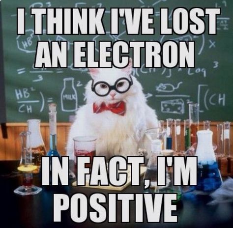 Chemistry jokes, hehe: I think I've lost an electron... In fact, I'm positive. Science Cat, Chemistry Puns, Chemistry Cat, Nerdy Jokes, Nerdy Humor, Science Puns, Chemistry Humor, Nerd Jokes, Chemistry Jokes