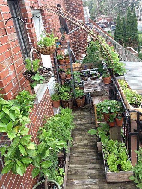 Garden in Montreal, Quebec Porch Garden Apartment, Apartment Porch Garden, Apartment Patio Garden, Balcony Vegetable Garden, Urban Gardening Balcony, Townhouse Garden, Jardim Diy, Small Vegetable Gardens, Small Balcony Garden