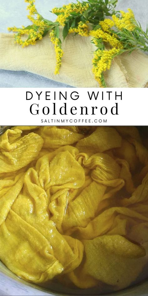 How to dye with goldenrod Lemon Yellow Color, Yarn Color Combinations, Environmentally Friendly Living, Diy Dye, Natural Dye Fabric, Eco Dyeing, Fabric Dyeing, Summer Harvest, Natural Dyeing