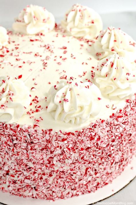 Peppermint Cake Decoration, Candy Cane Frosting, Chocolate Candy Cane Cake, Peppermint Cream Cheese Frosting, Candy Cane Birthday Cake, Candy Cane Christmas Cake, Peppermint Frosting Recipe, Candy Cane Cake Ideas, Pepermint Cake