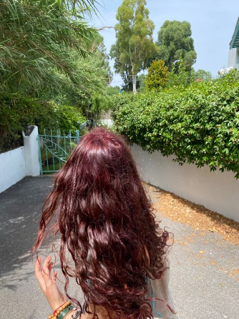 Hair Color Ideas Wavy Hair, Naturally Wavy Hair Color Ideas, Strawberry Red Highlights In Brown Hair, Dark Red Hair Aesthetic Curly, Cherry Red On Curly Hair, Red Tinted Brown Hair Curly, Red Cherry Hair Curly, Deep Cherry Red Hair Curly, Dark Cherry Hair Curly