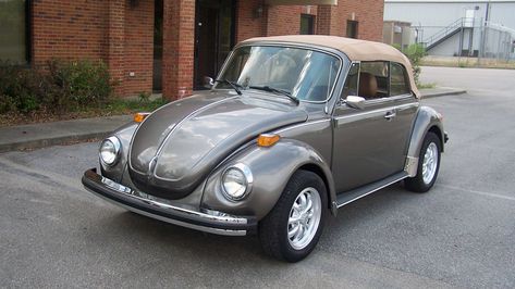 Volkswagon Van, Volkswagen Super Beetle, Vw Beetle Convertible, Vw Super Beetle, Volkswagen Beetle Convertible, Super Beetle, Vw Sedan, Vw Karmann Ghia, Classic Volkswagen