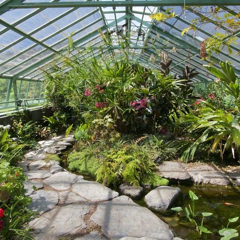 Tropical Greenhouses, Conservatory Greenhouse, Large Greenhouse, Glass Houses, Indoor Greenhouse, Greenhouse Interiors, Home Greenhouse, Greenhouse Ideas, Greenhouse Plans