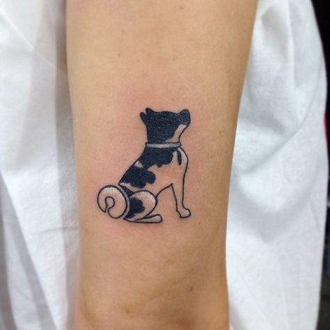 The 15 Coolest Akita Inu Tattoo Designs In The World 15 Akita Dog Tattoo, Akita Inu Tattoo, Akita Tattoo, Boston Terrier Tattoo, Thor Tattoo, Bull Terrier Tattoo, Tattoo Ideas Minimalist, German Shepherd Tattoo, Beagle Tattoo