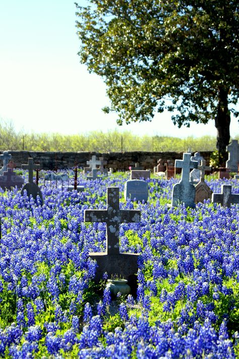 Que las #flores te acompañen en tu camino hacia una nueva #vidaeterna… Graveyard Photography, Cemetery Statues, Cemetery Headstones, Old Cemeteries, Momento Mori, Cemetery Art, Peaceful Places, Six Feet Under, Grave Marker